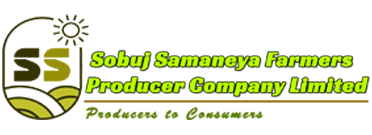 Partner 4
